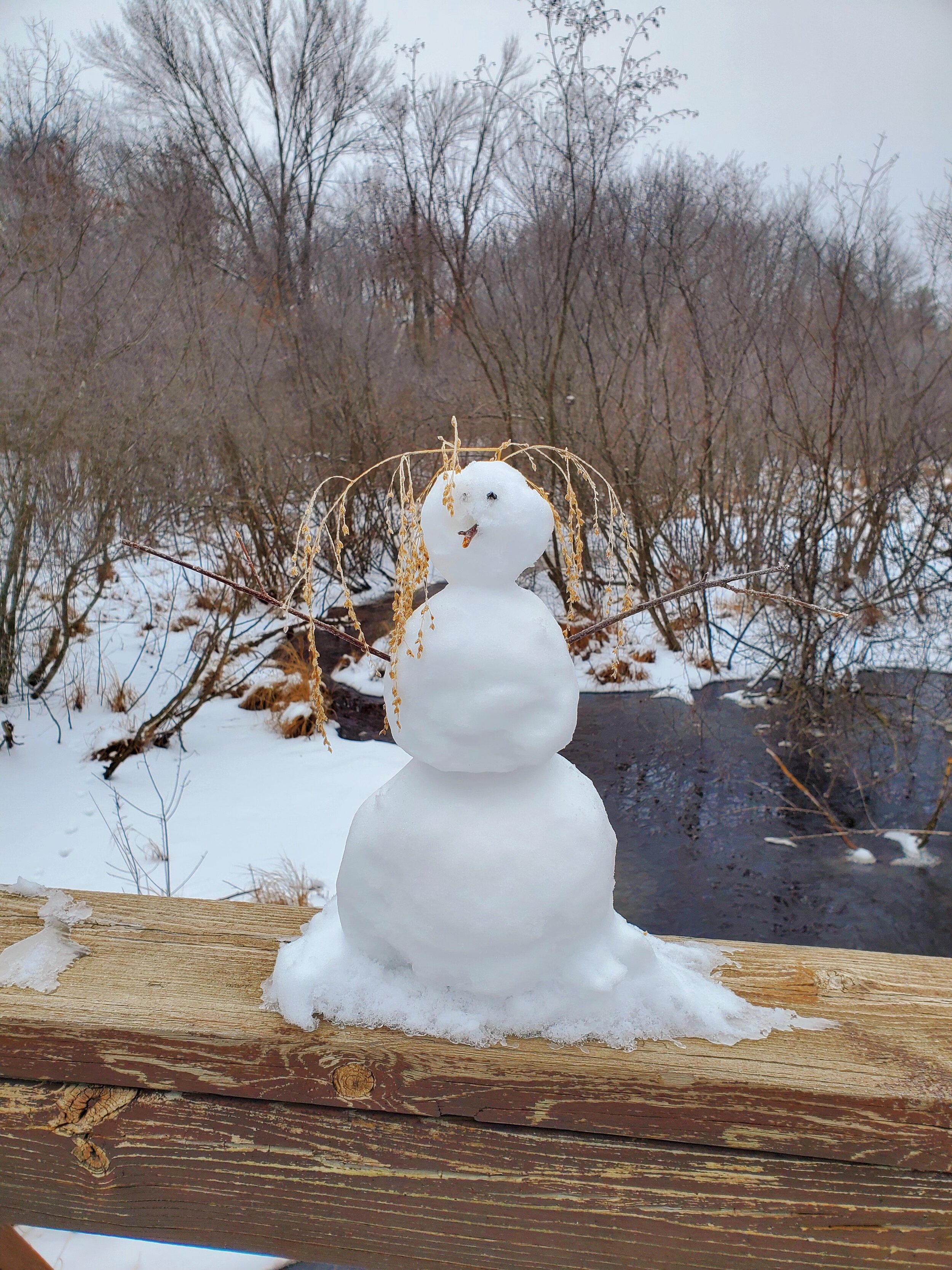 Mini Snowman.jpg