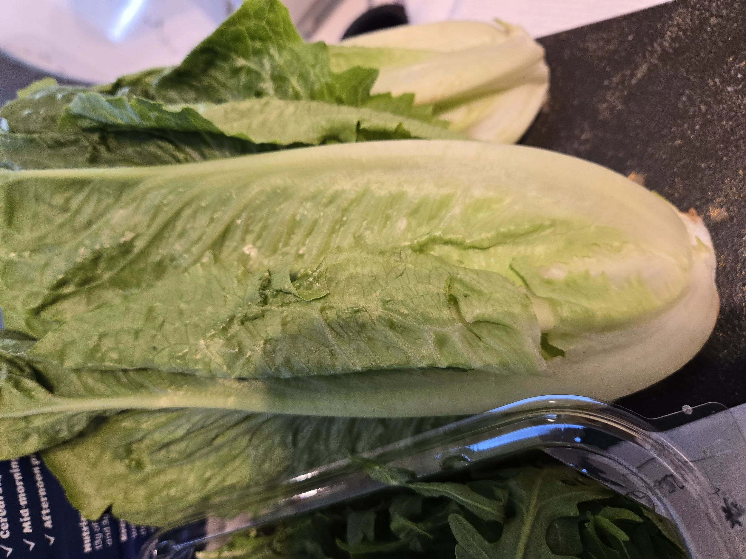 Romaine 1 .jpg