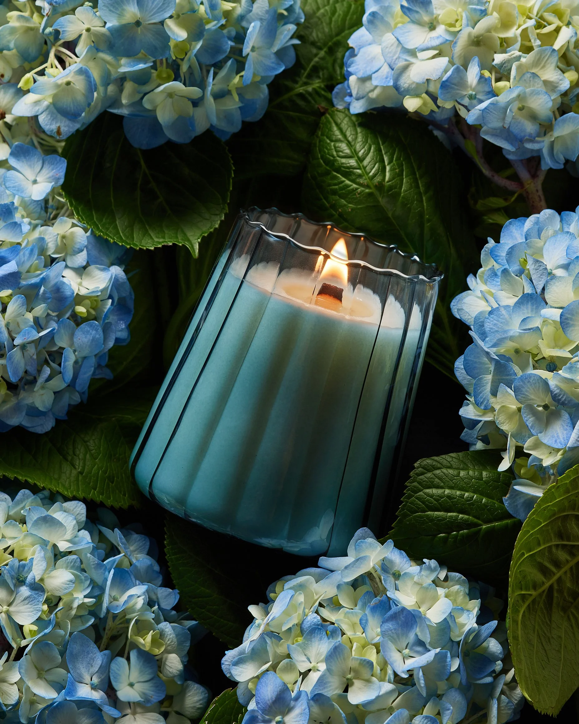 blue_hydrangea_candle_san_francisco_bay_area_photographer.jpg