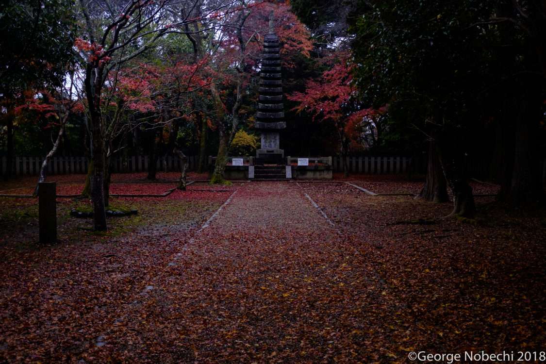NC_Kyoto-0001.jpg