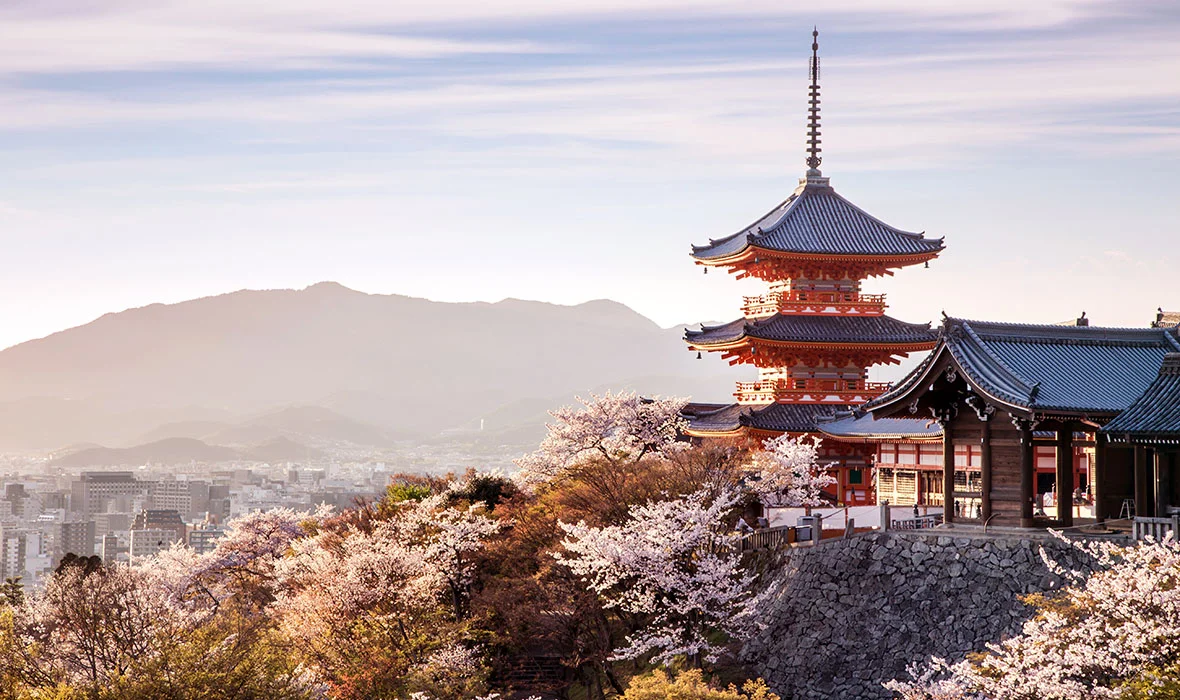 Cherry Blossoms in Kyoto, Japan