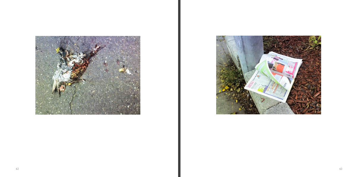 Picture 30.png