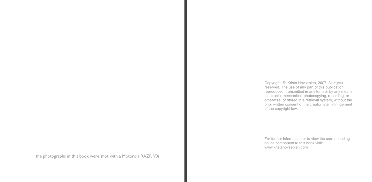 Picture 110.png