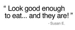 susan.png
