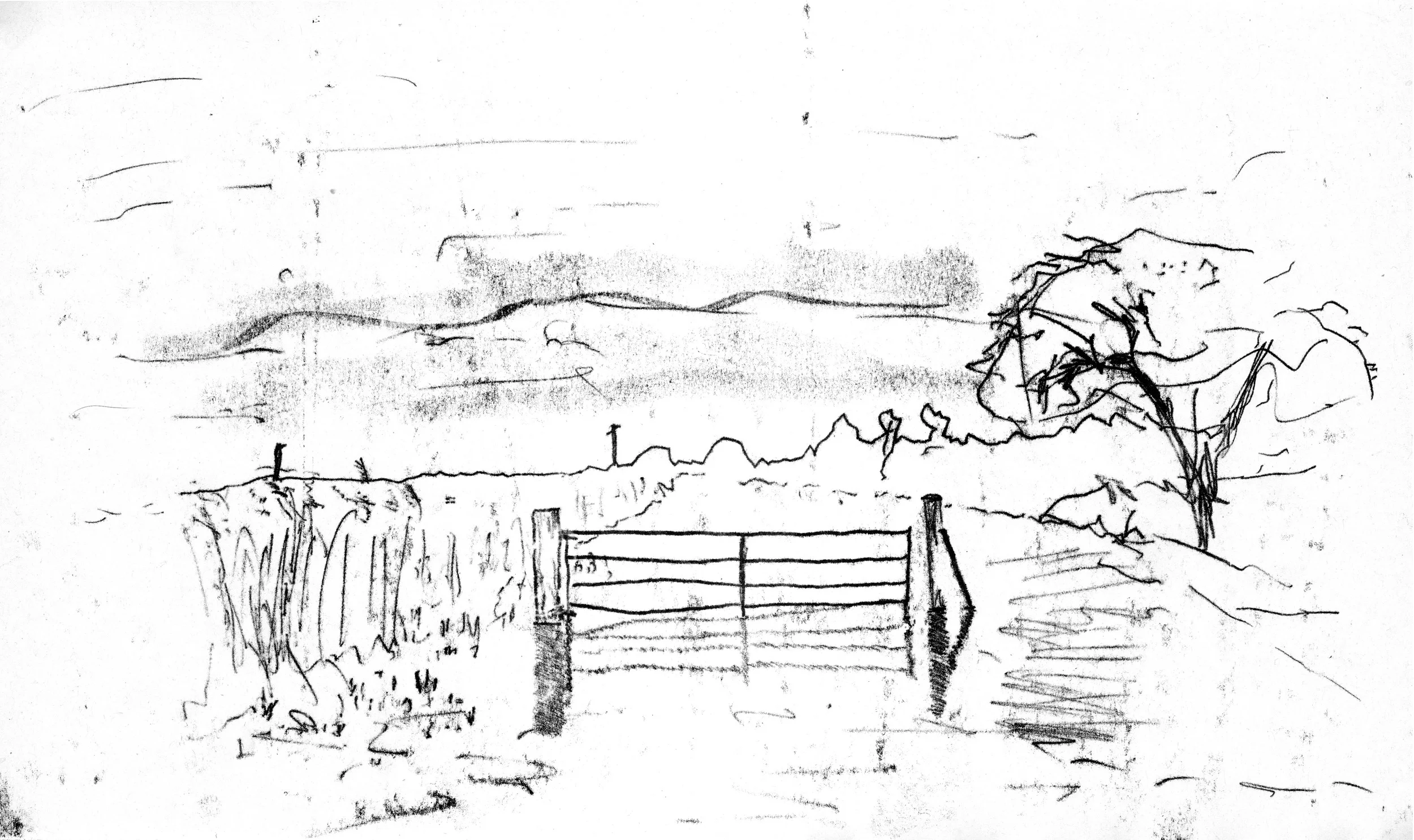 fence.jpg