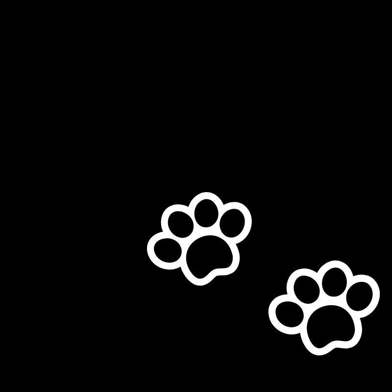 Million Paws Walk