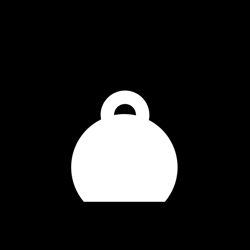 Kettlebell Workshop
