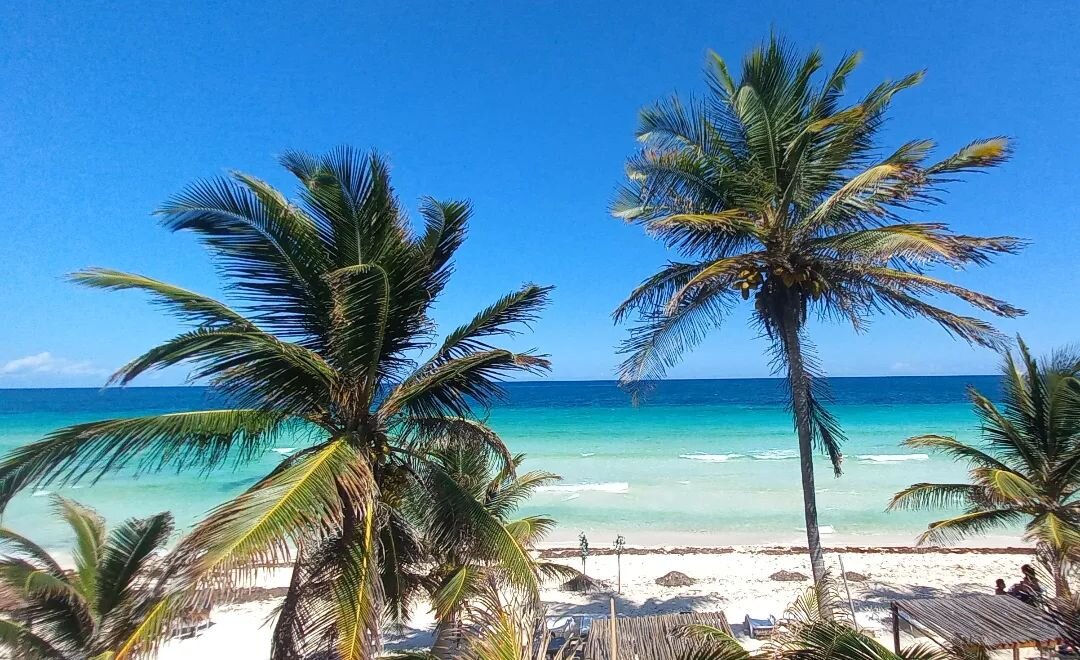 #tulum #caribemexicano #locationsandproduction #crocodilemexico #hotlocations