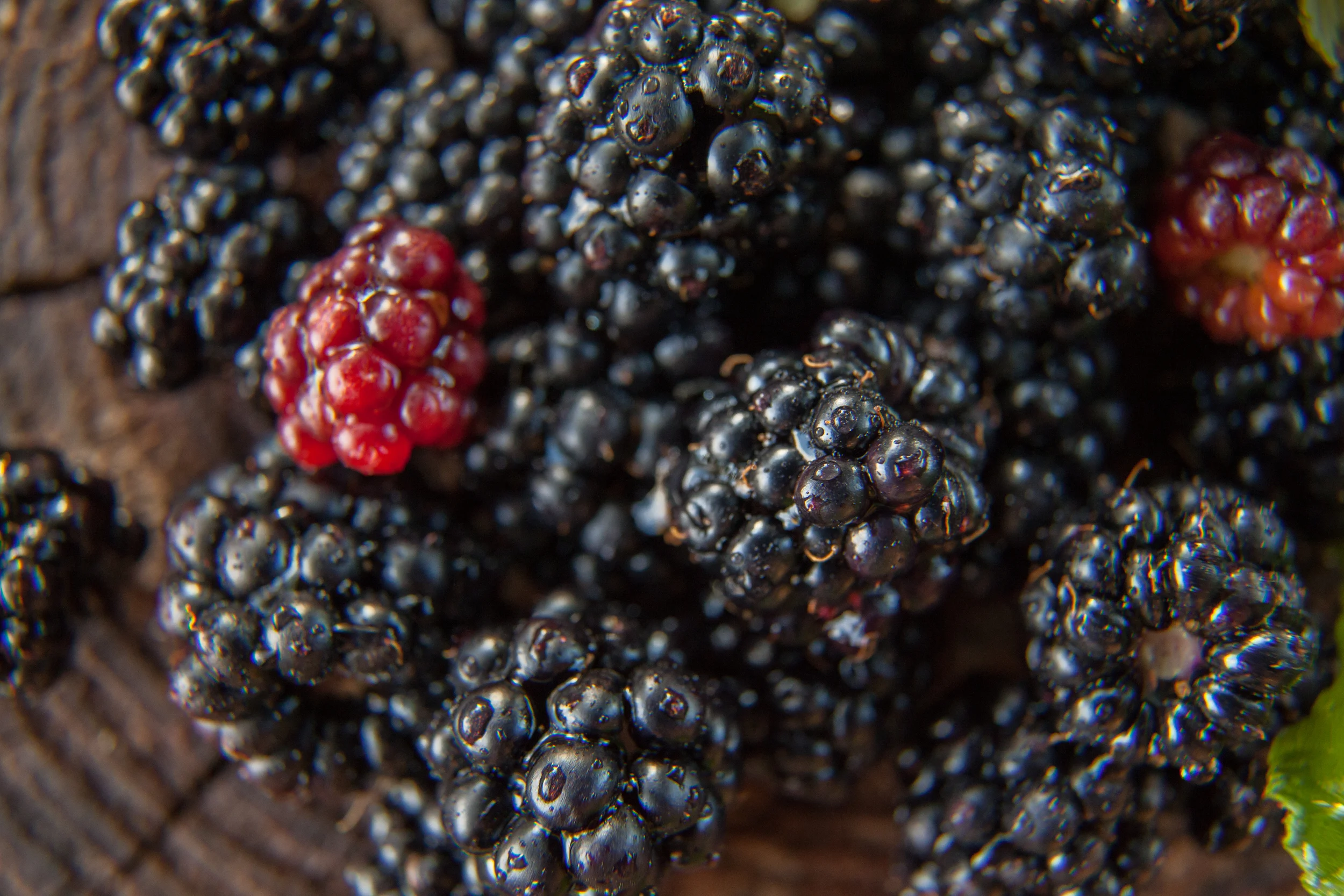 The Hand Pies and Goodbyes