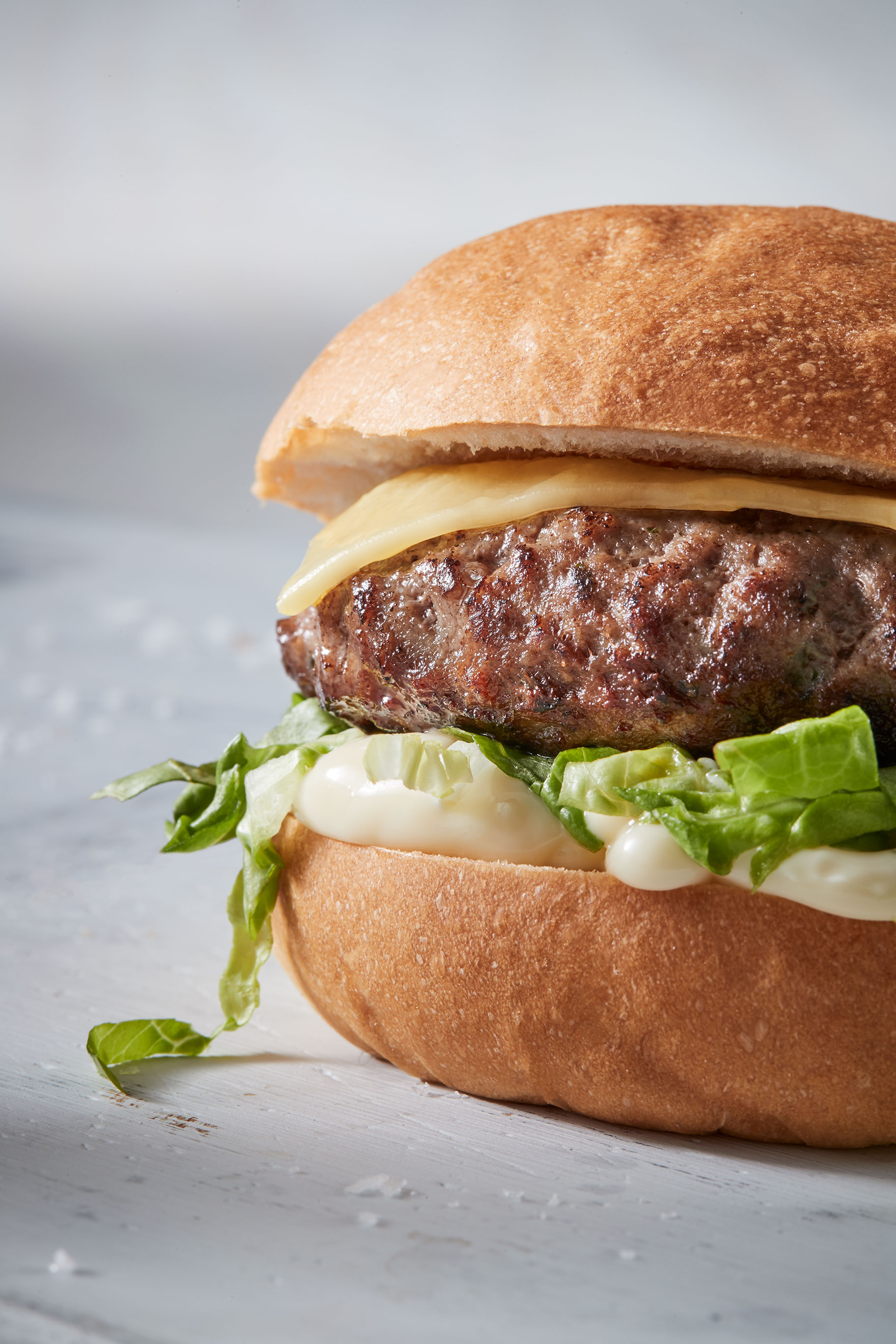 Burger-2-Close-Up.jpg