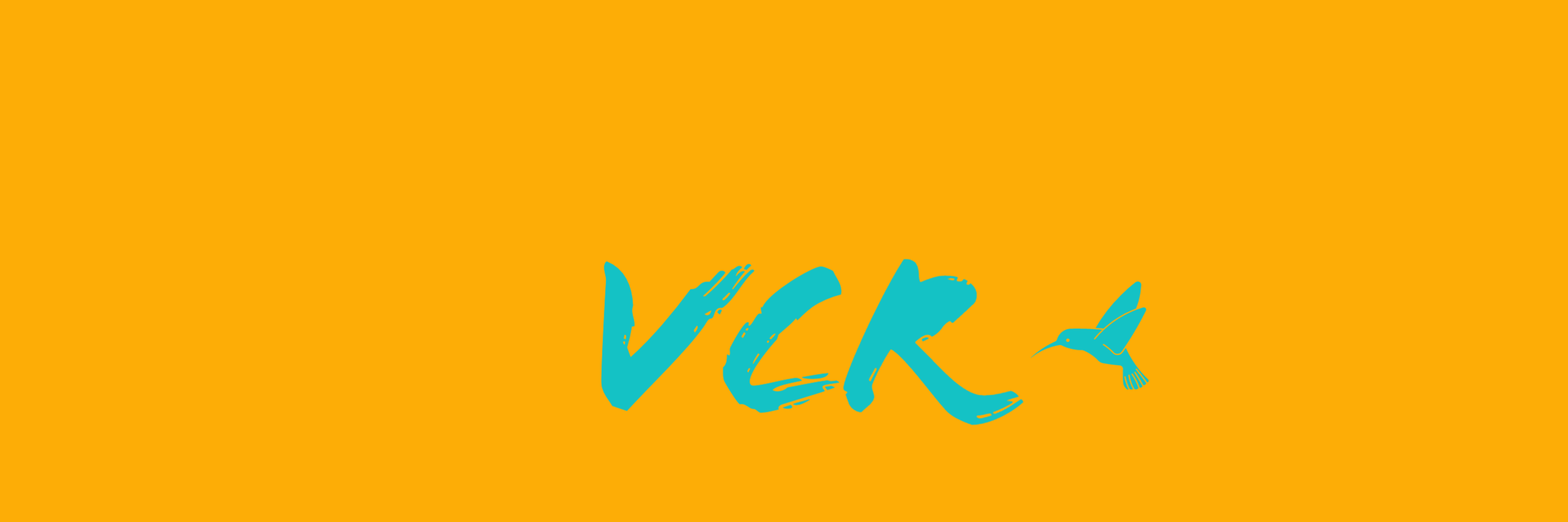 VCR - hummingbird - large banner - V2.png
