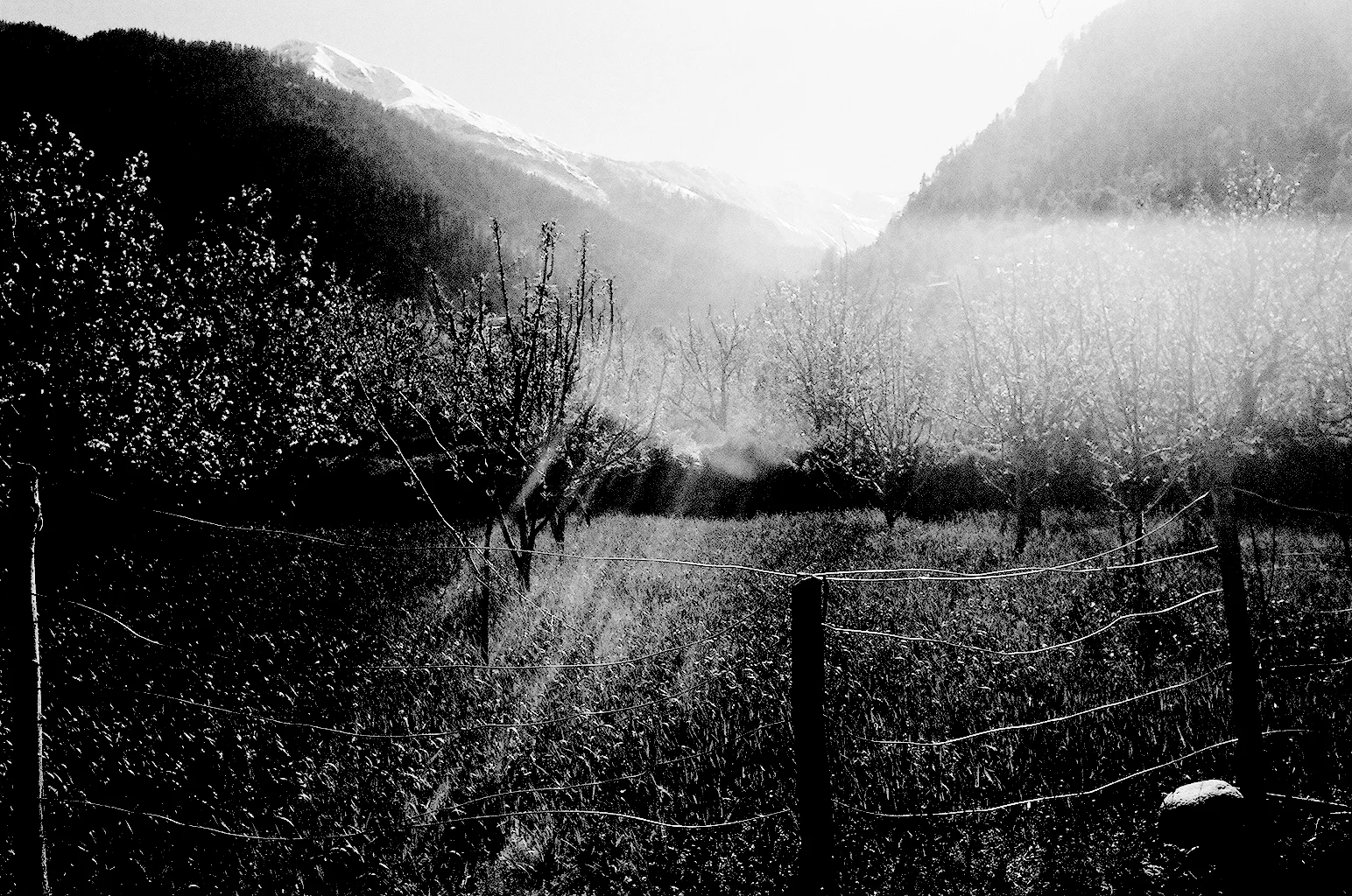 13_12_96570034.jpg