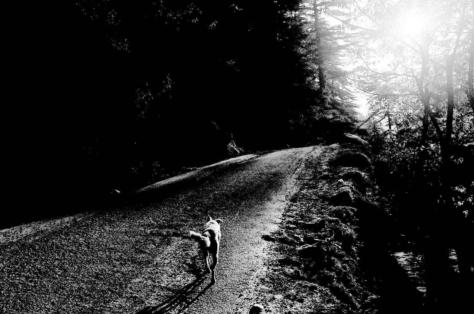 14_13_96650008.jpg