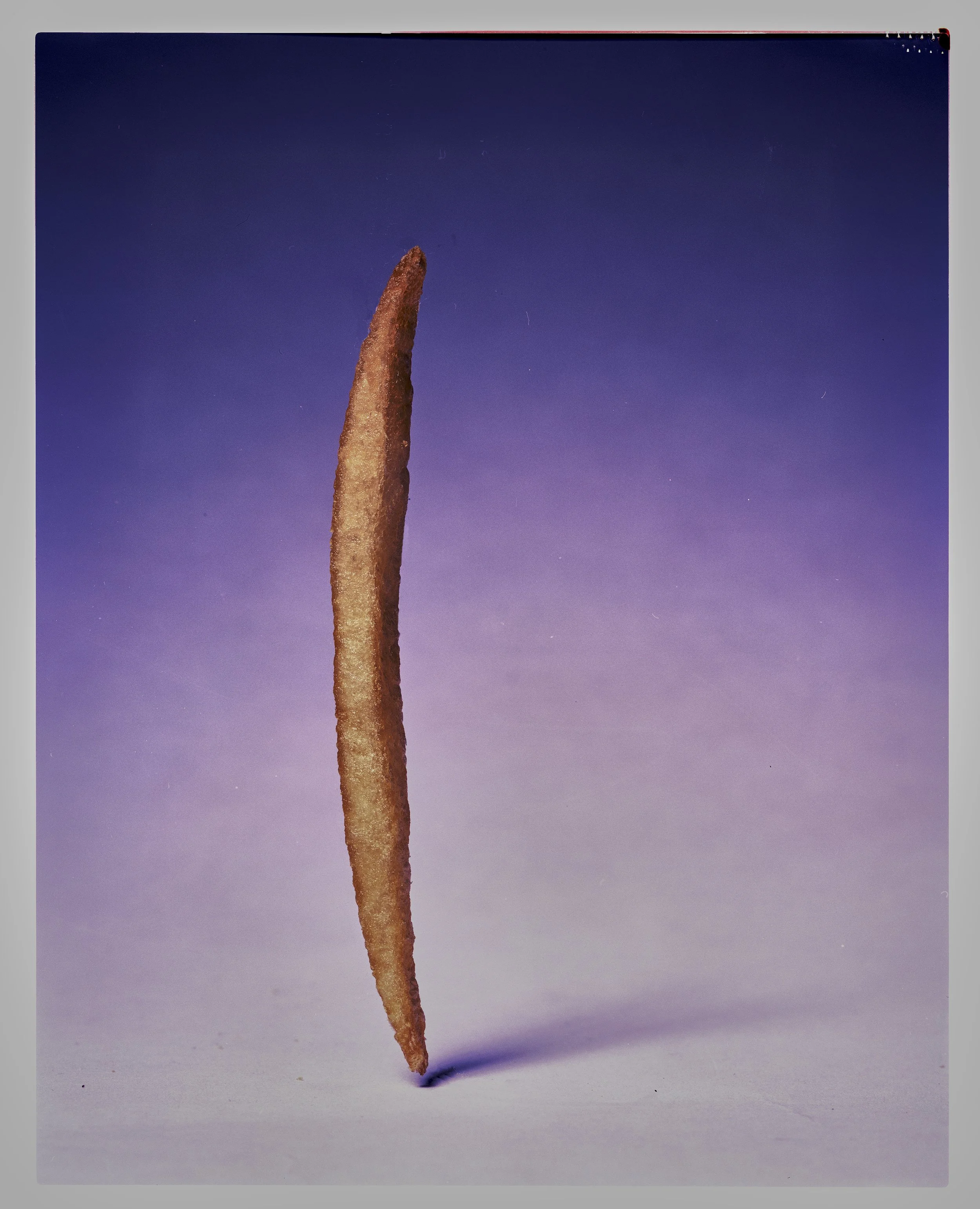 Ali_NasseriUntitled-22 (2).jpg
