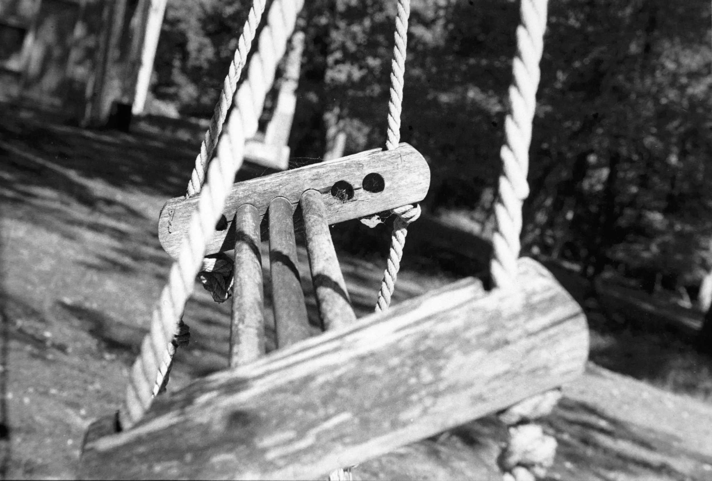 silver gelatin print