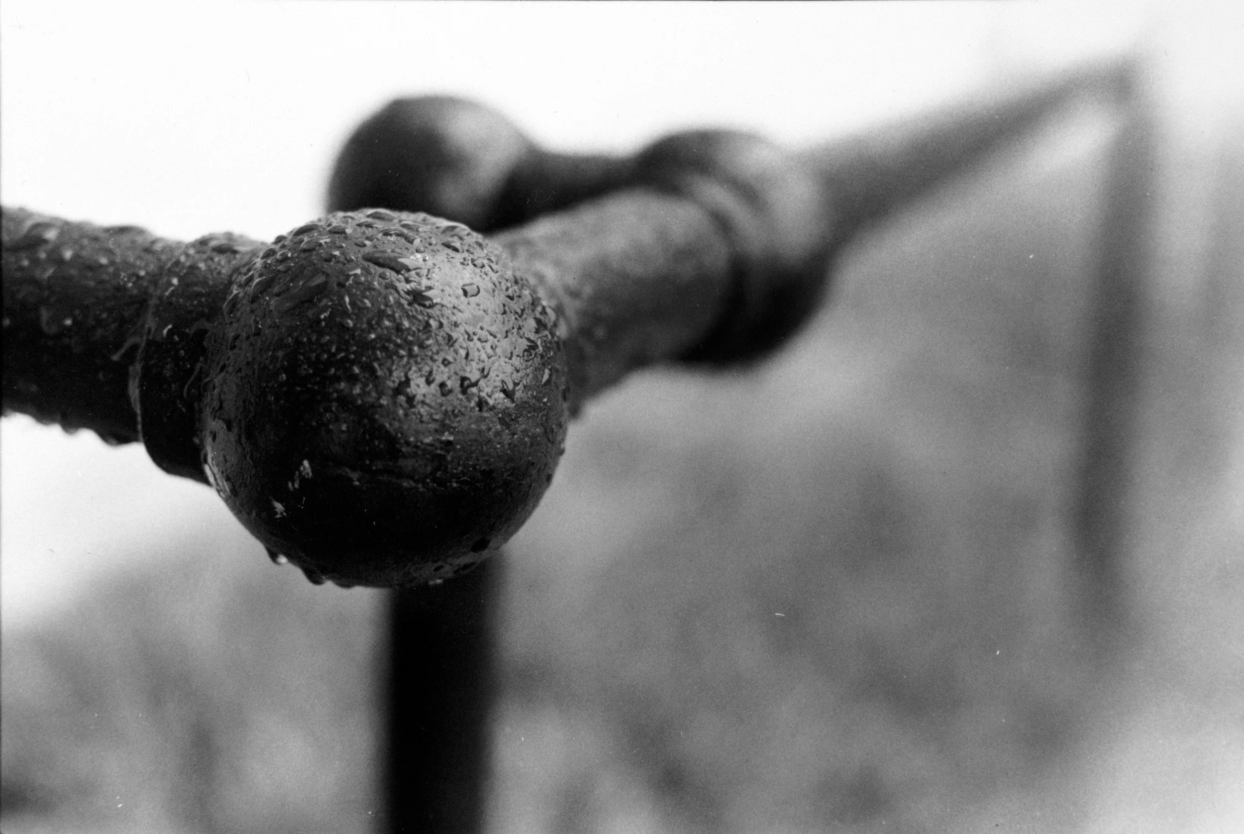 Silver gelatin print