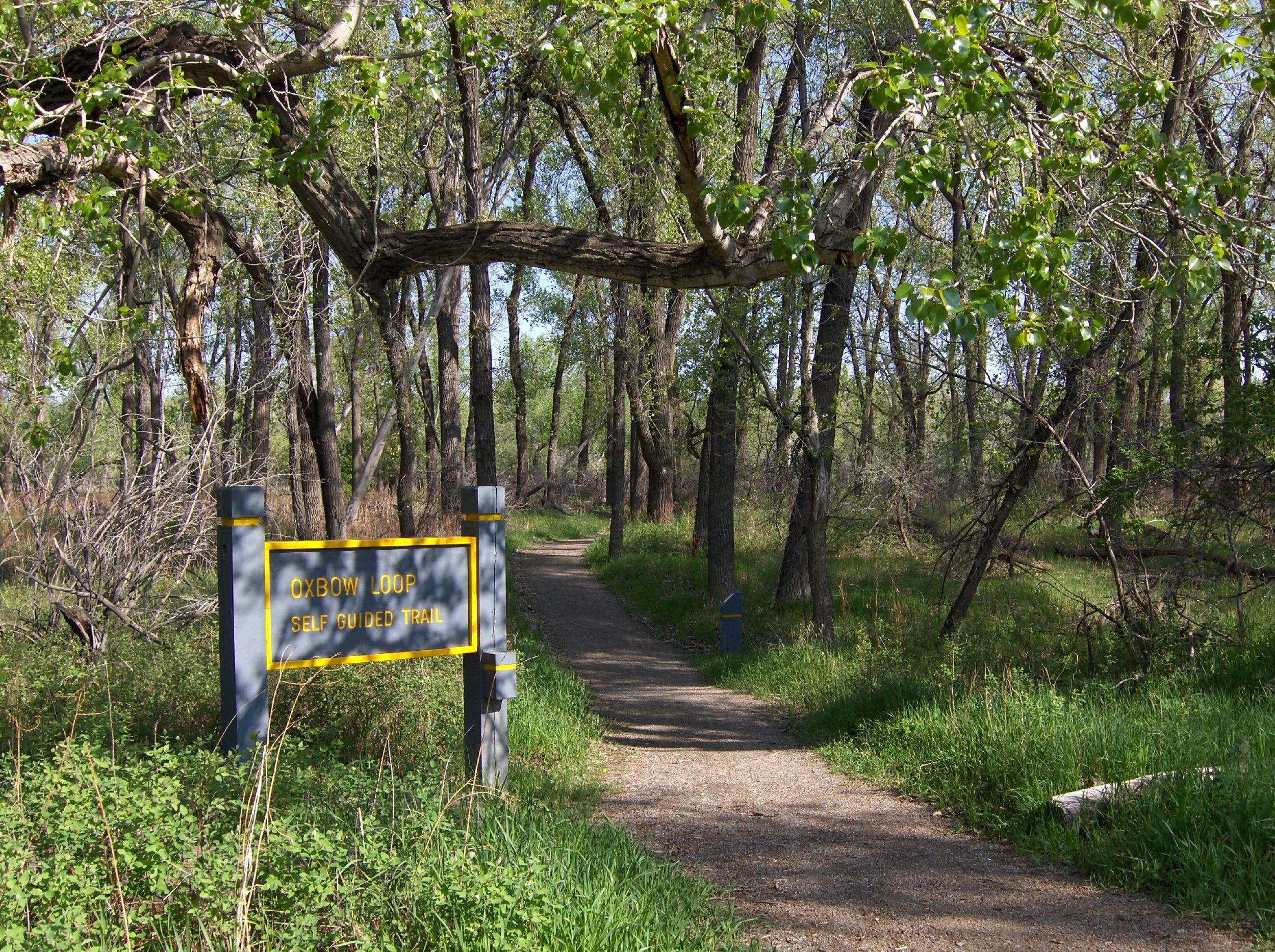 Oxbow Loop May.JPG
