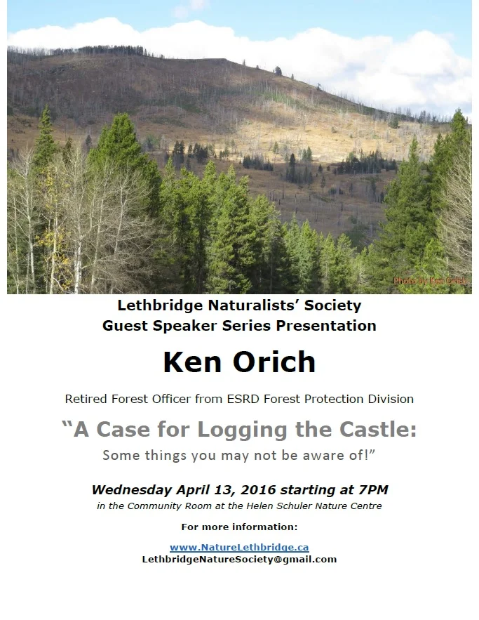 A Case for Logging the Castle