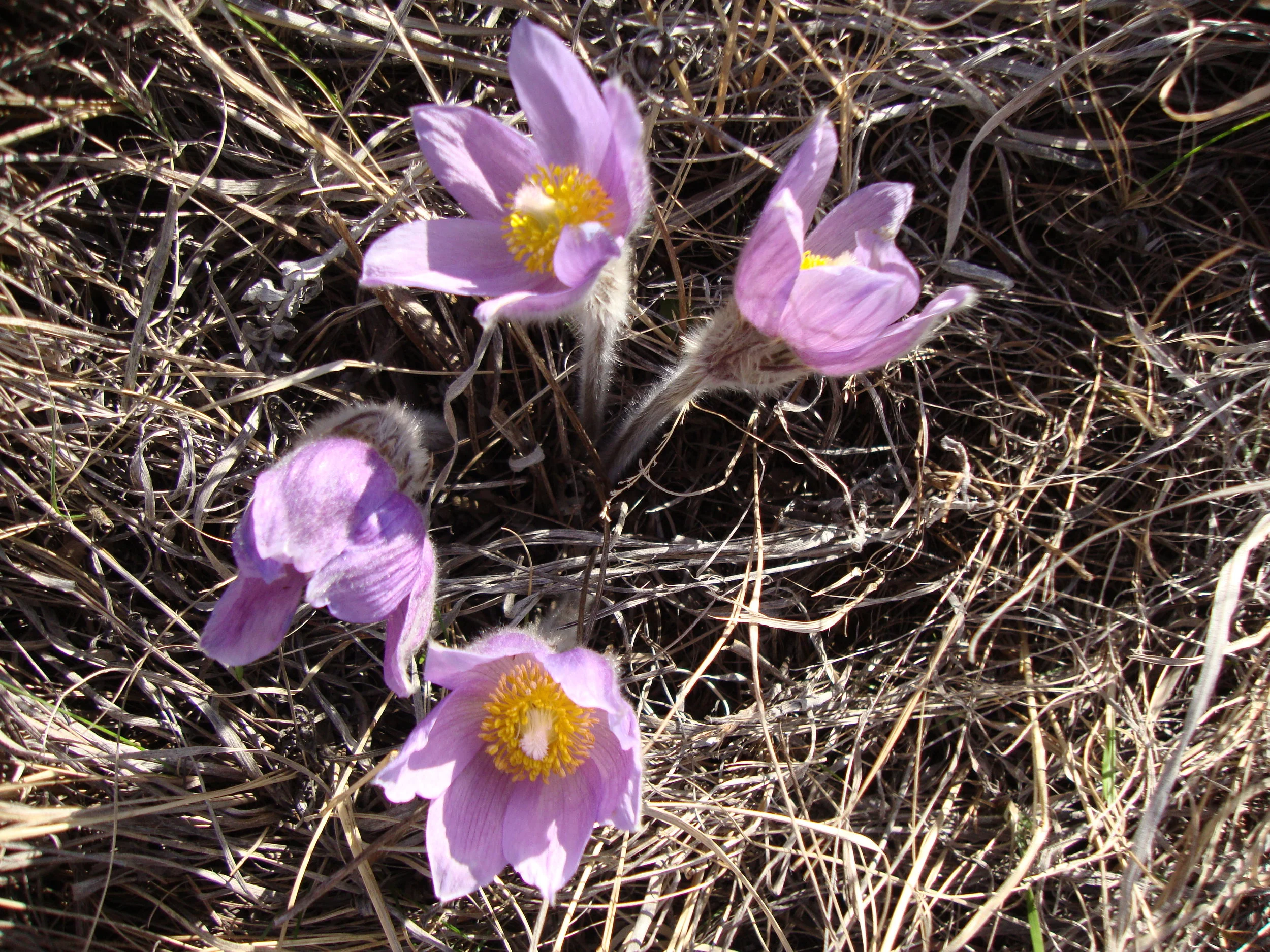 Annual General Meeting 