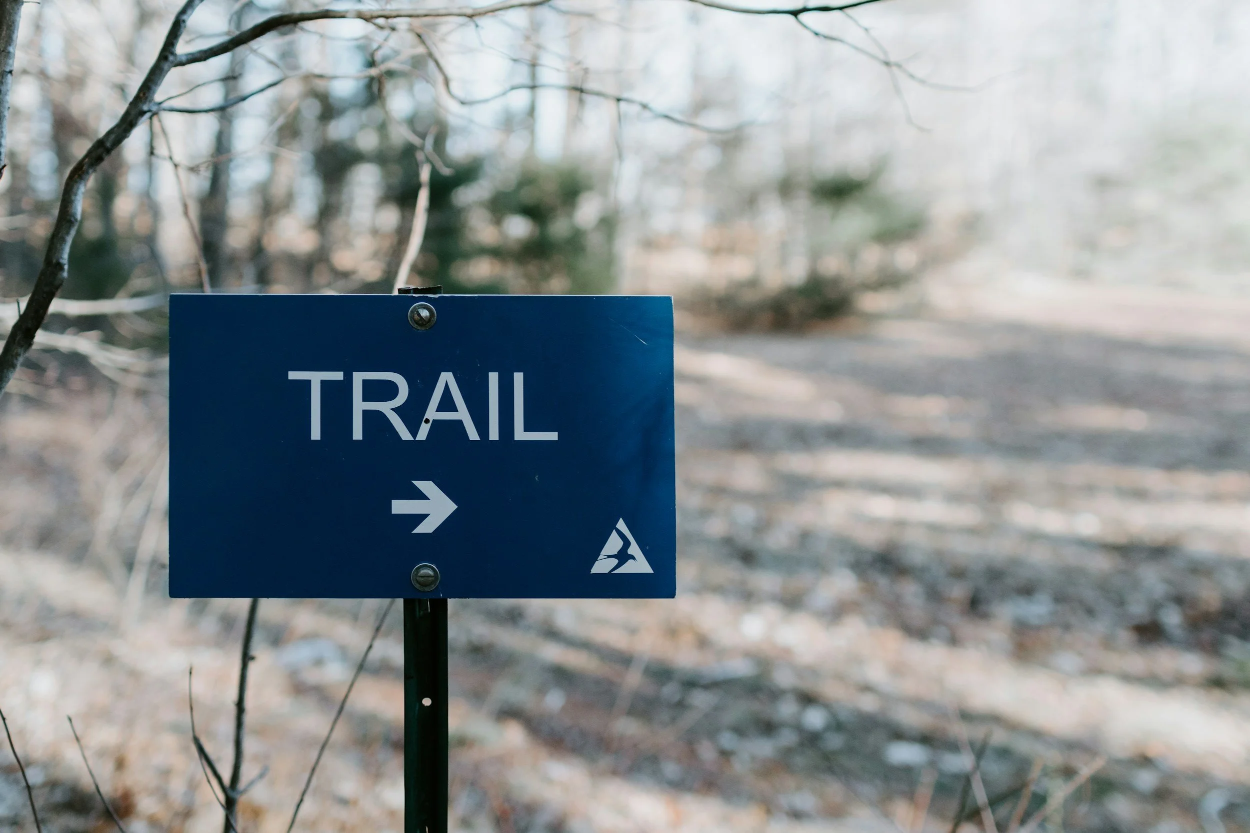 Dr. Jenny McCune - How Do Trails Affect the Plants Growing Near Them in the Castle Parks?