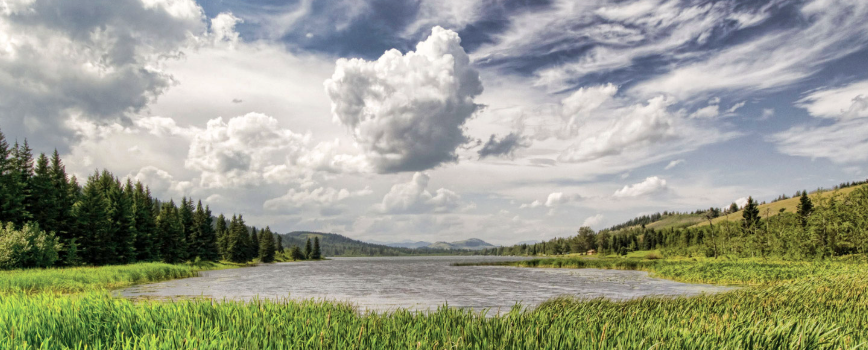 Beauvais Lake Provincial Park - Field Trip &amp; Nature Walk 