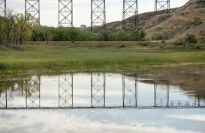 Elizabeth Hall Wetlands