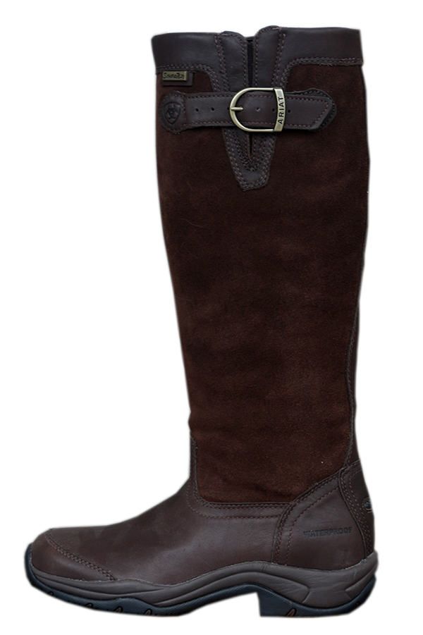 Ariat Boot Style two
