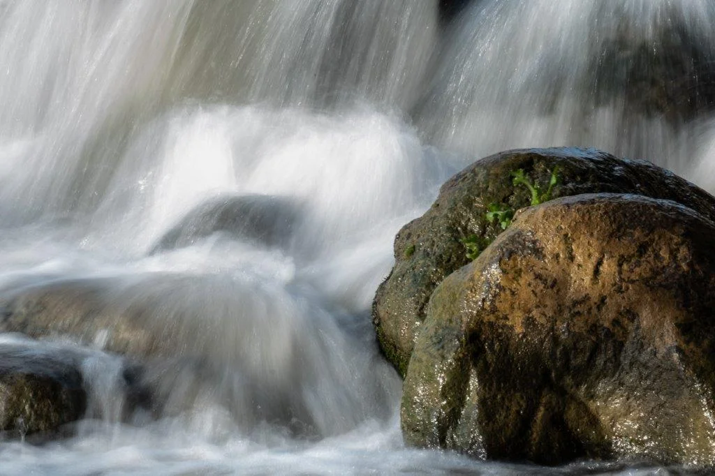 Ronit Shpiro Water 5 .jpg