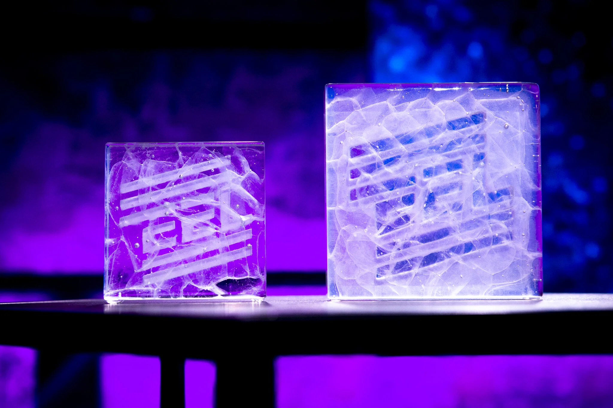 _MUM2012, EELi auhind.jpg