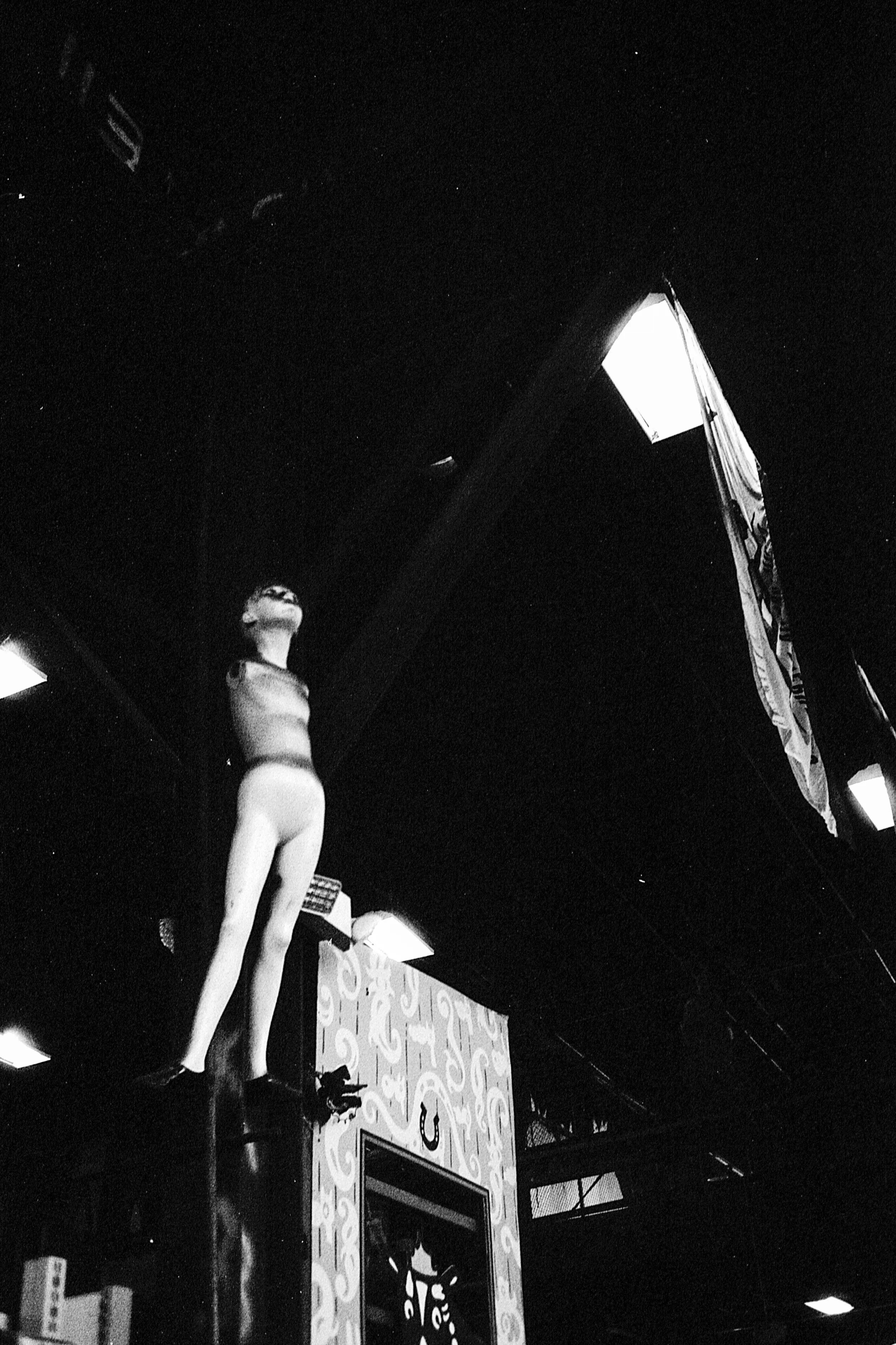 nikonosiii-fp4n+1-sf-1.jpg