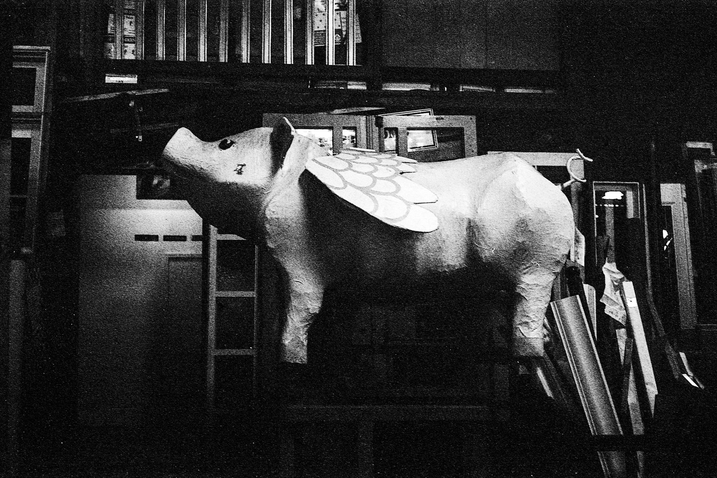 nikonosiii_fp4n+1_01.jpg