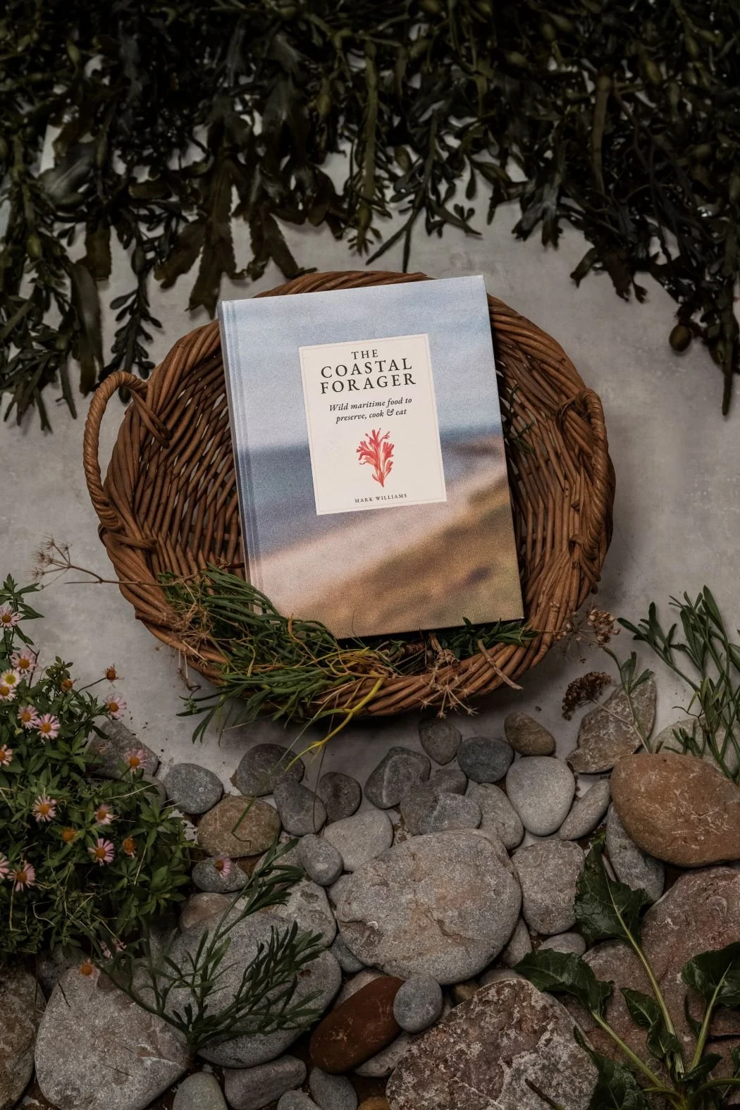 The Coastal Forager Book Launch