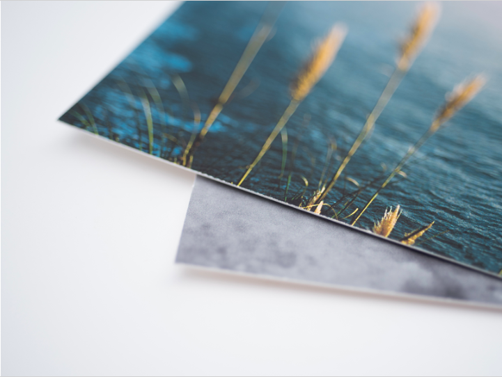 Fine Art Print