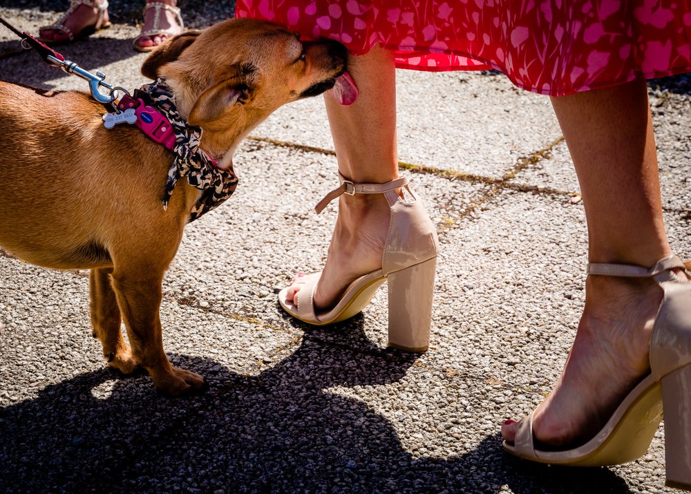 dalkey church wedding tinakilly house photographer-52.jpg