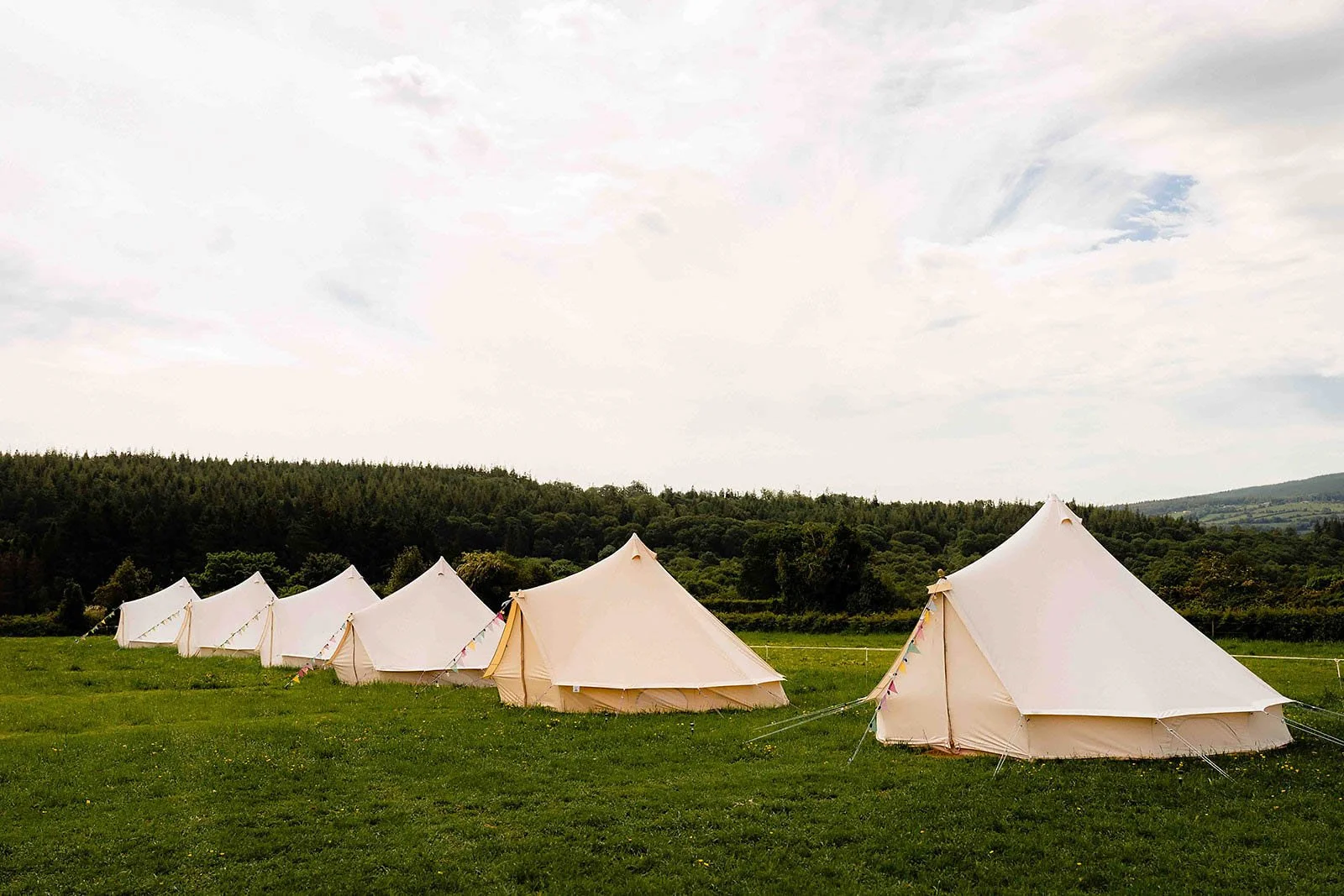 Wicklow wedding photographer, family farm in Co. Wicklow-9.jpg