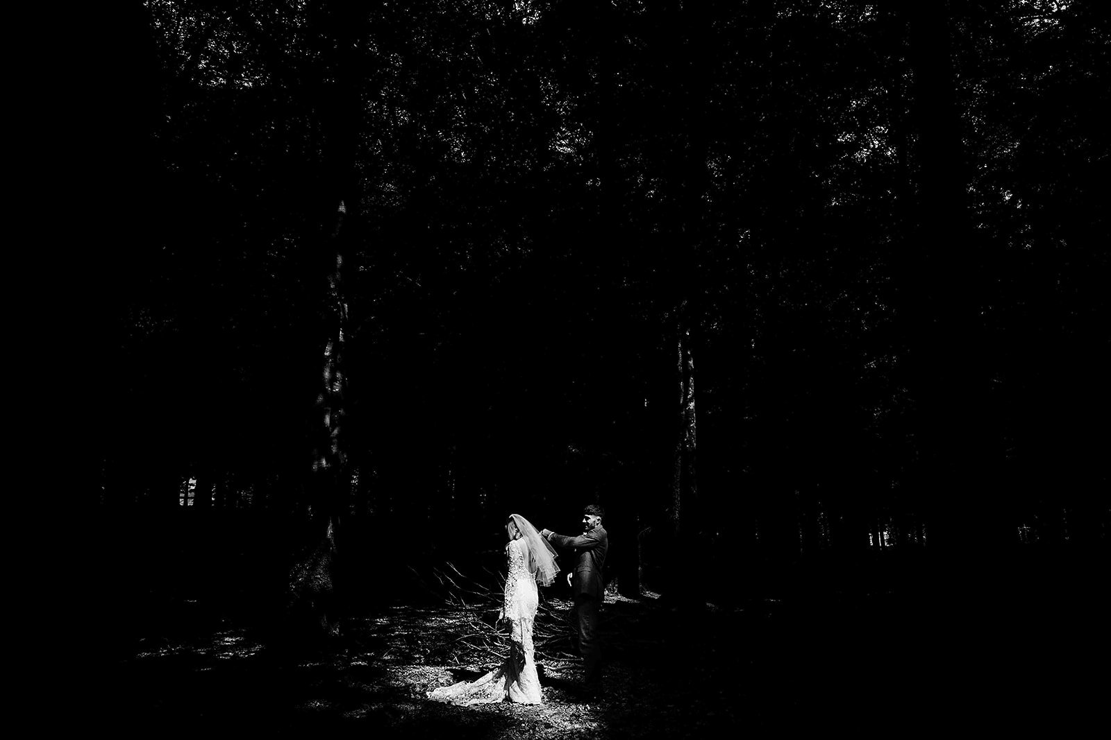 3. wicklow-wedding-photographer-couple-photoshoot-forest-8.jpg