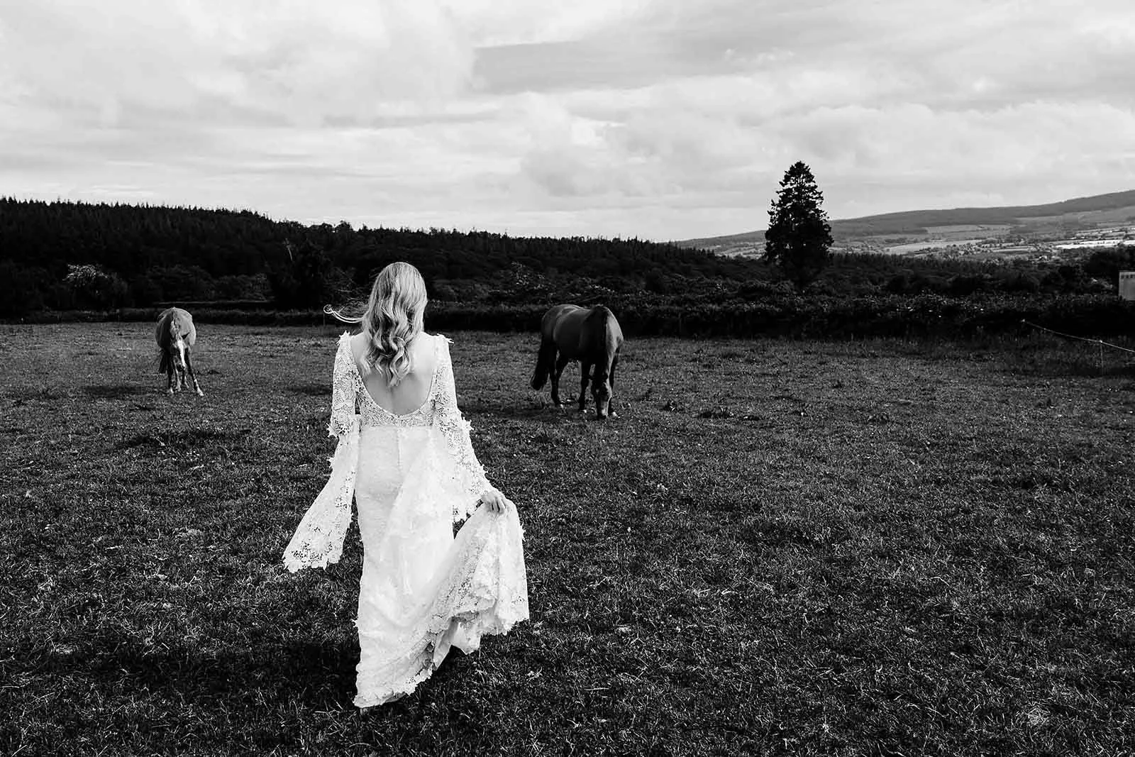 Bride walking over to her horses in a wicklow wedding