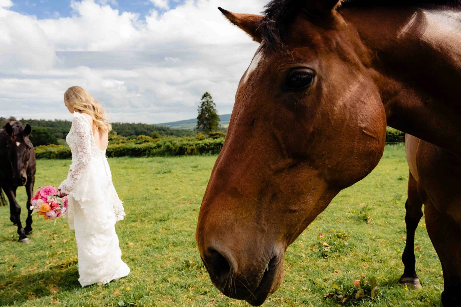 5. wicklow-wedding-photographer-laura-horses-farm-2.jpg
