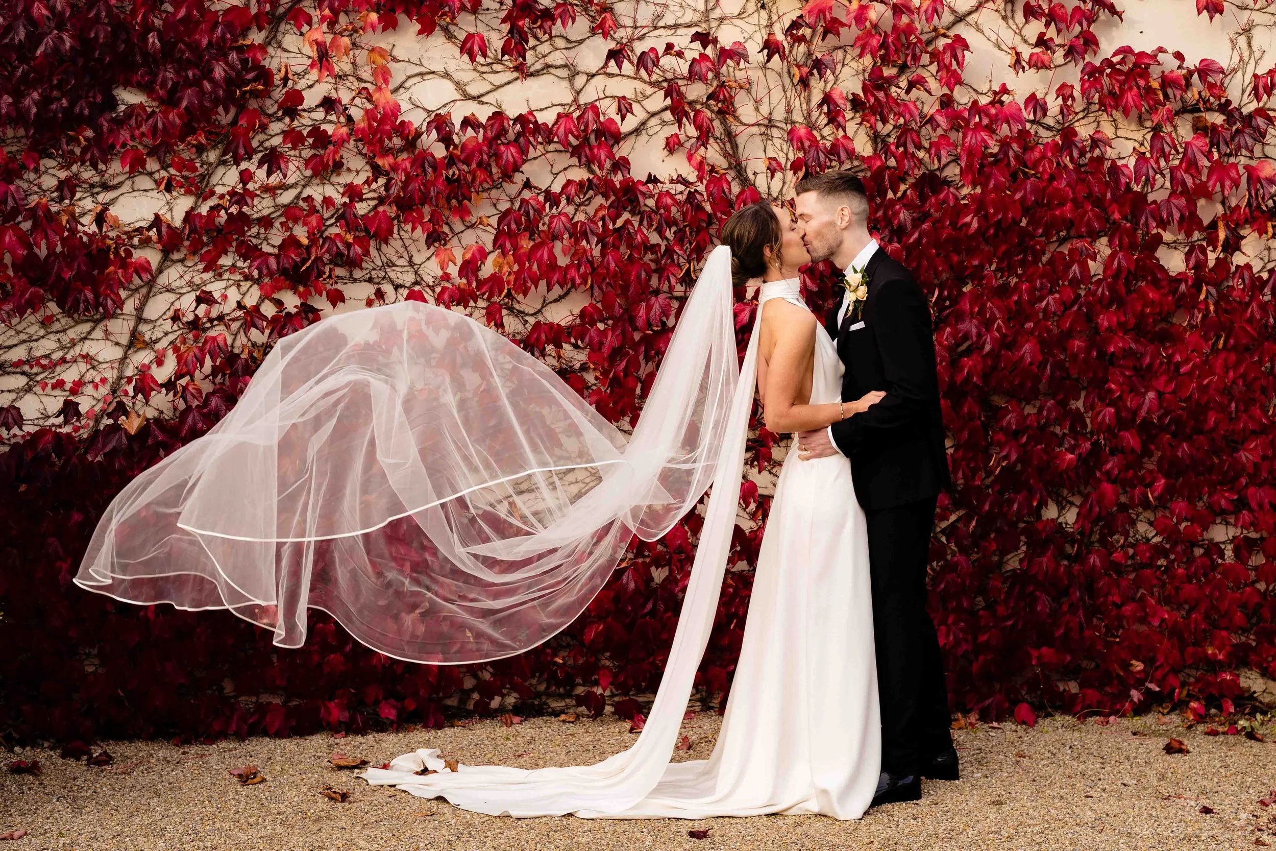 wedding veil flowing with red ivy in the background