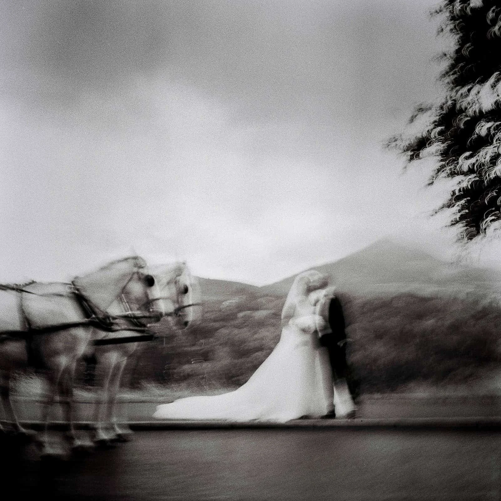 Hassleblad medium format ilford 400 couples in front of horse and cart and sugar loaf wicklowFilm