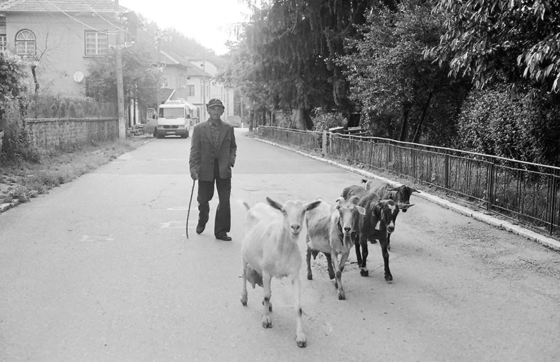 man-and-goats.jpg