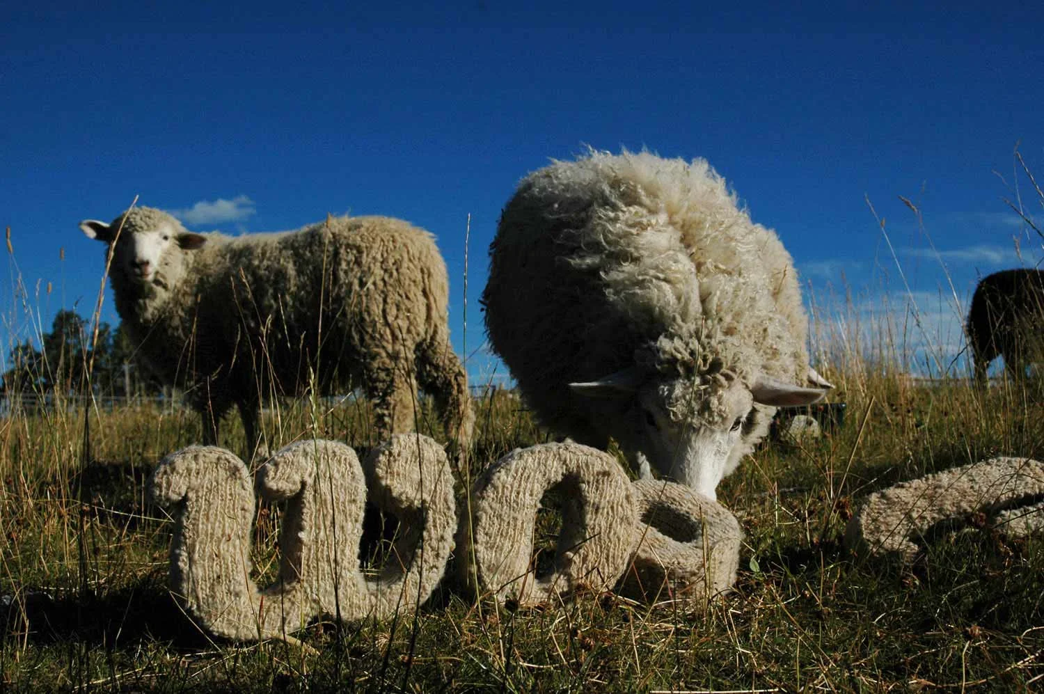 1.1knocked-over-wool-leonie-wharton.jpg