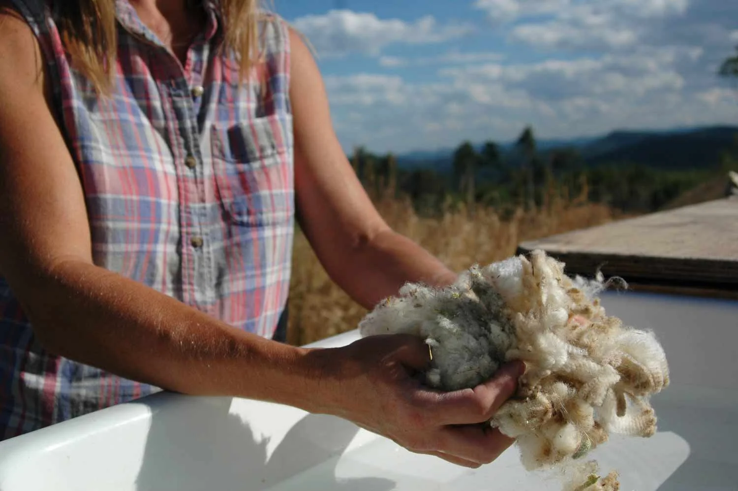 1.4heidi-about-to-wash-wool-.jpg