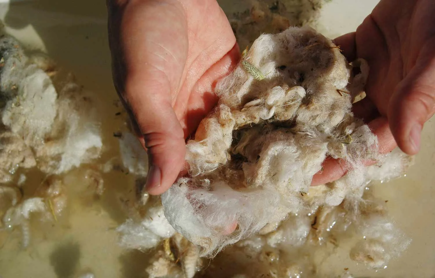 1.6washed-wool.jpg
