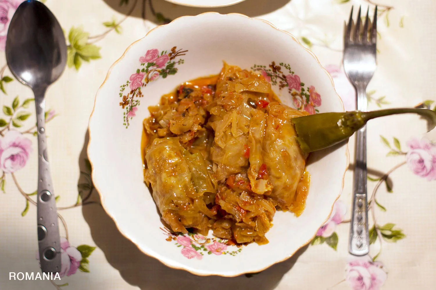 5RomaniaPlate copy.jpg