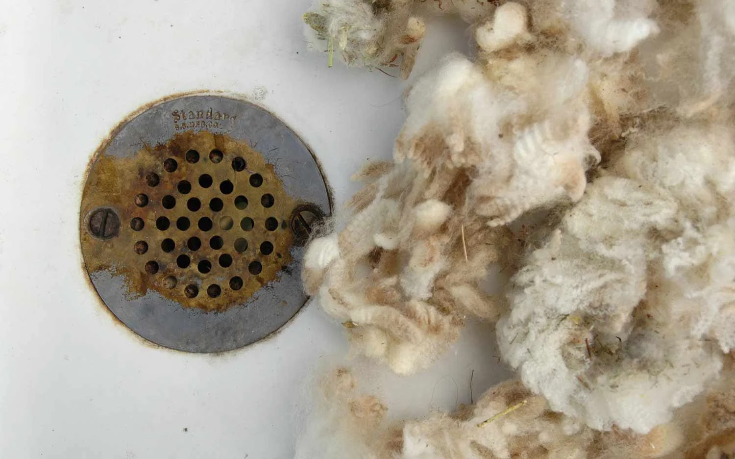1.5wool-in-sink.jpg