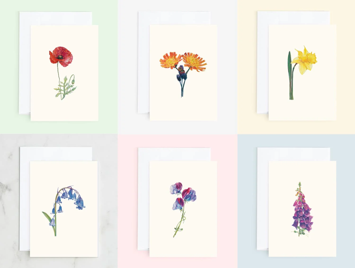 2greetings-cards-watercolour-wildflowers-nature-poppy-hawkweed-daffodil-bluebell-sweetpea-foxglove-leonie-wharton.jpg
