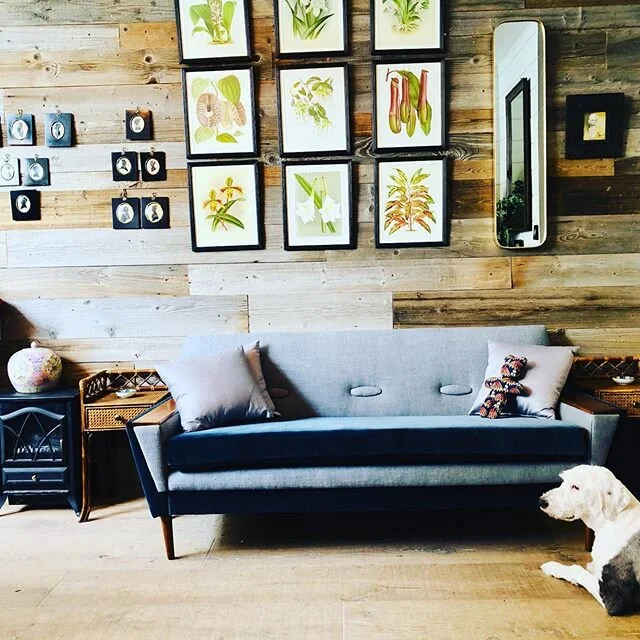 #boarddog fabulous #bedsidetables #bamboofurniture #canework #dontwanttoventureout buy and we will #sendbycab! @visitportobello