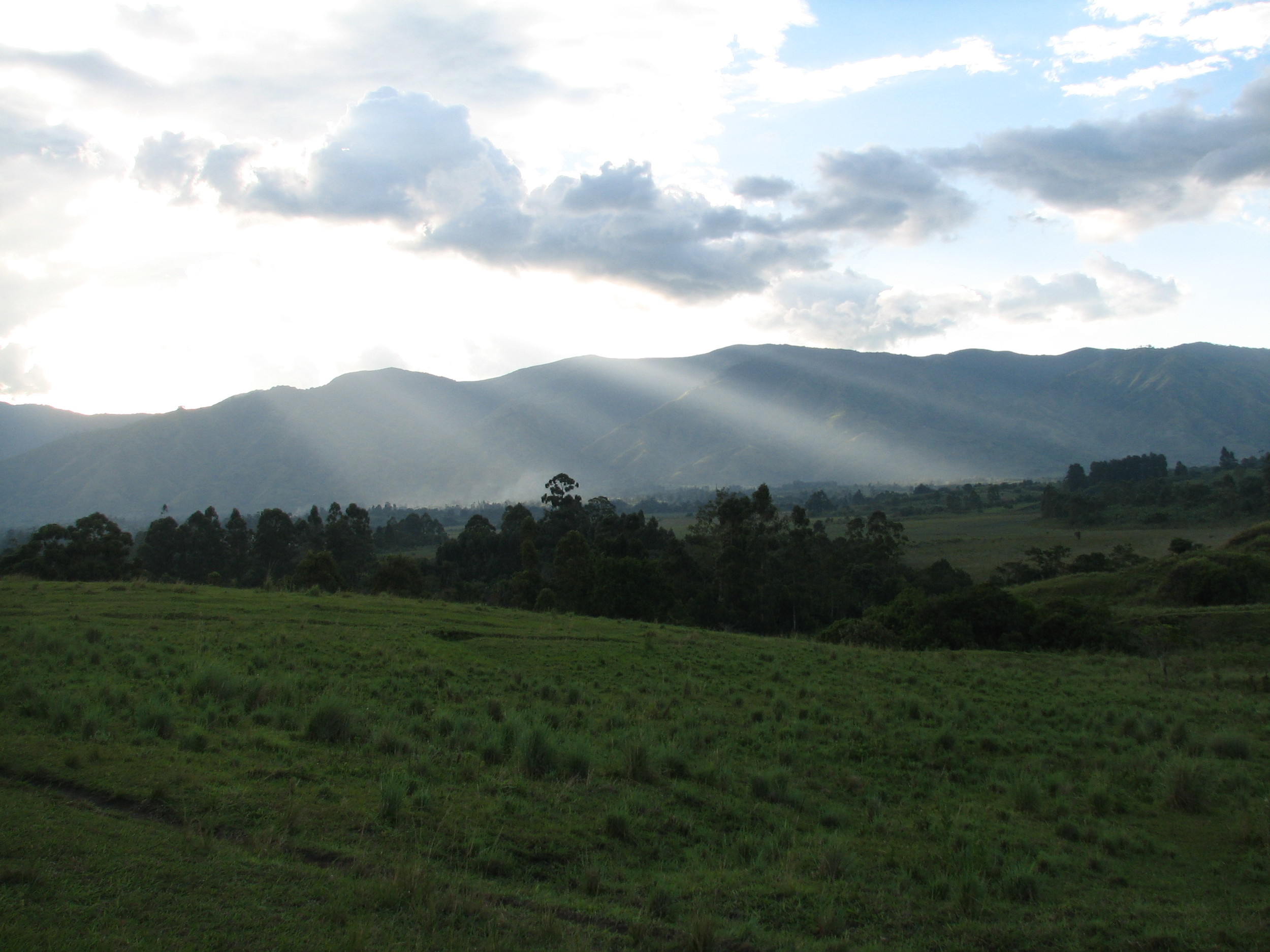 Rwenzori Foothills, Uganda