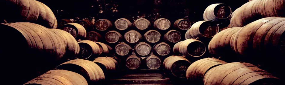 oporto-porto-wine_0.jpg